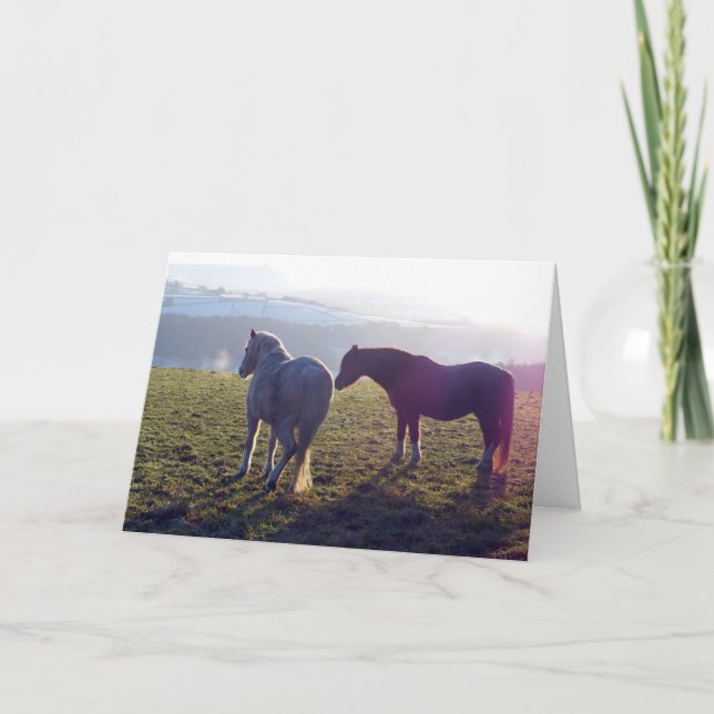 Tarjeta Winter pasture horse card (Anverso)