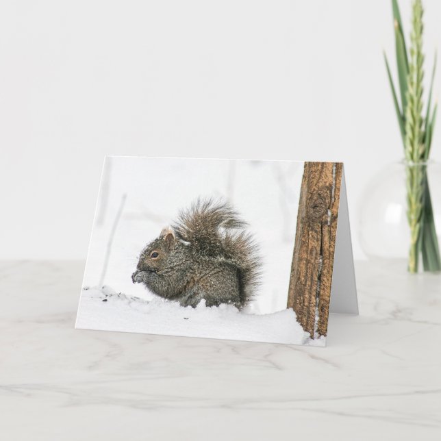 Tarjeta Winter Squirrel Notecard (Anverso)