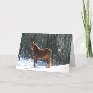 Tarjeta Winter Watch