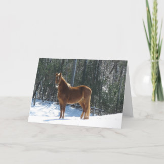 Tarjeta Winter Watch