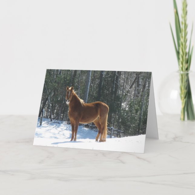 Tarjeta Winter Watch (Anverso)