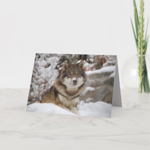 Tarjeta Winter Wolf