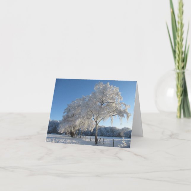 Tarjeta Winter Wonderland: Cheshire (Anverso)