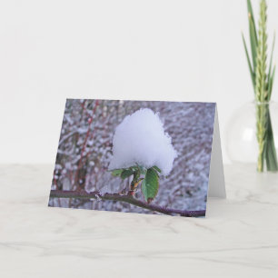 Tarjeta Wintergrusskarte hübsche Schneeplfanze, blanko