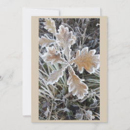Tarjeta  „Winterzauber – Einladung mit vereistem Blatt“