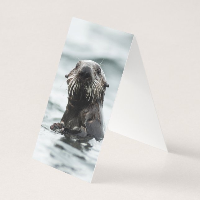 Tarjeta Wise Otter (Reverso)