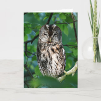 Tarjeta Wise owl