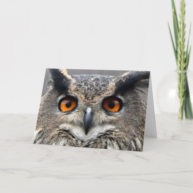 Tarjeta Wise Owl Photograph (Anverso)