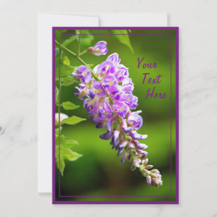 Tarjeta Wisteria