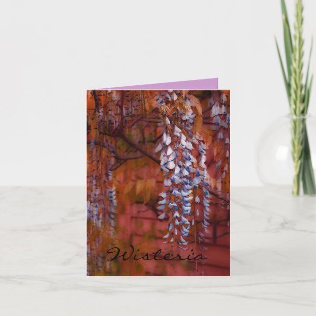 Tarjeta Wisteria (Anverso)