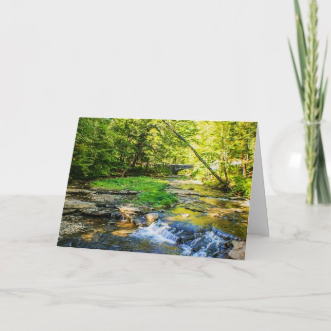 Tarjeta Wolf Creek Card (Anverso)