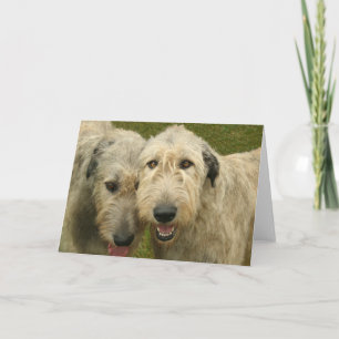 Tarjeta Wolfhounds irlandés