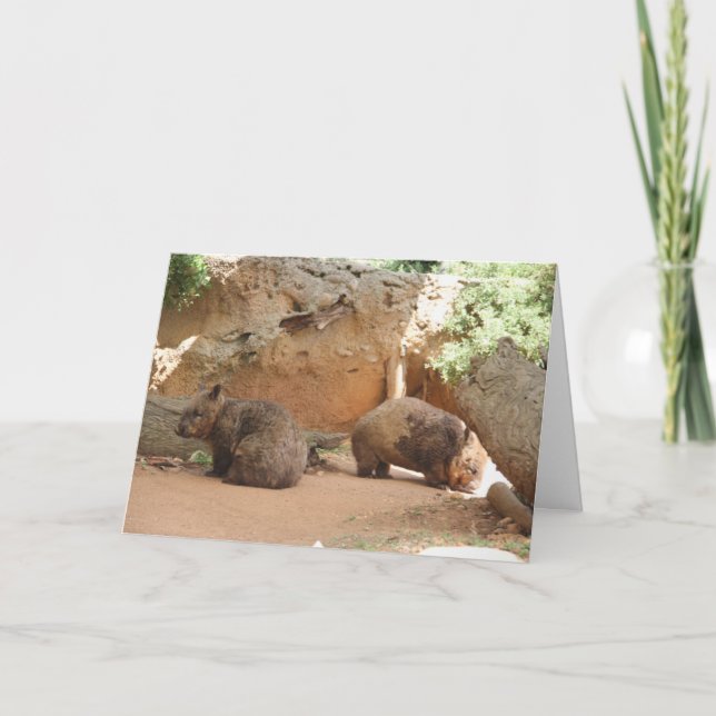 Tarjeta Wombat Heaven (Anverso)