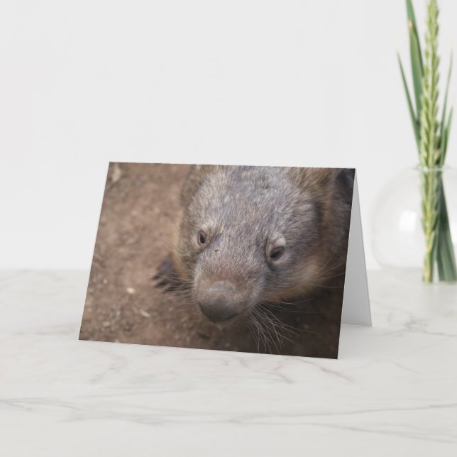 Tarjeta Wombat Kiss (Anverso)