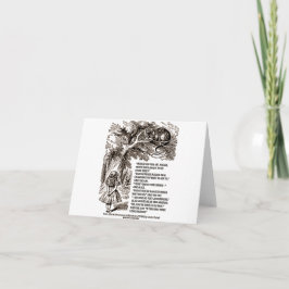 Tarjeta Wonderland ¿Cómo Debería Ir A Cita?