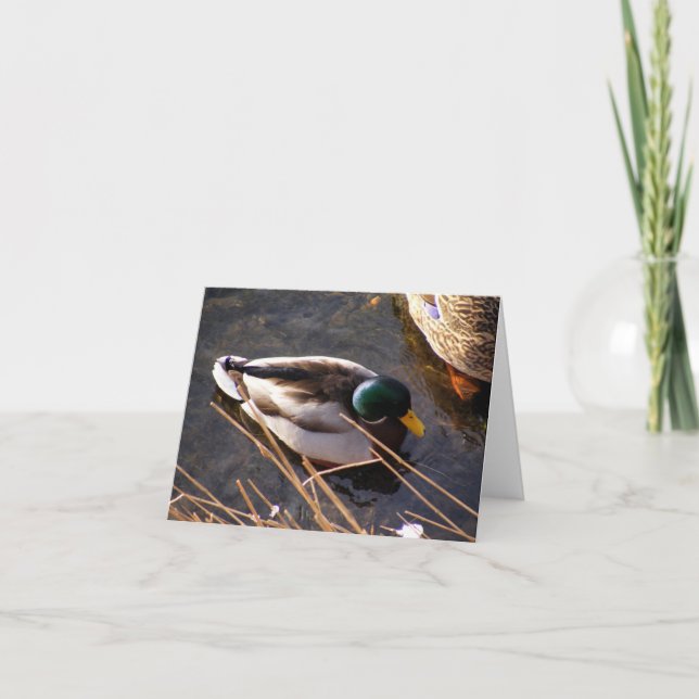 Tarjeta Wood Duck Note Card (Anverso)