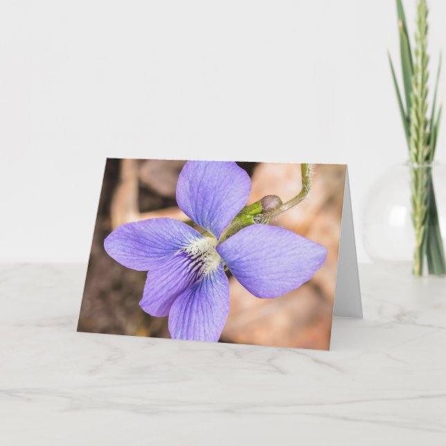 Tarjeta Wood Violet Wildflower Notecard (Anverso)