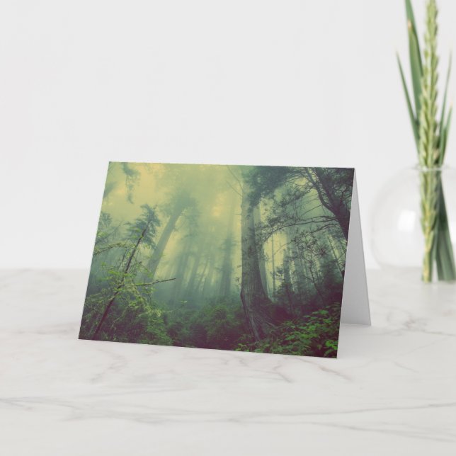 Tarjeta Woodland desde abajo (Anverso)