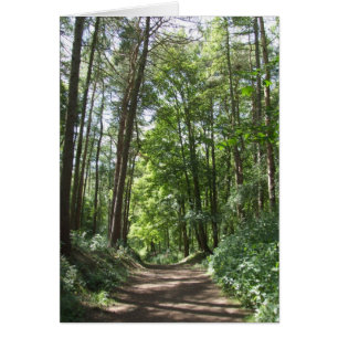 Tarjeta Woods