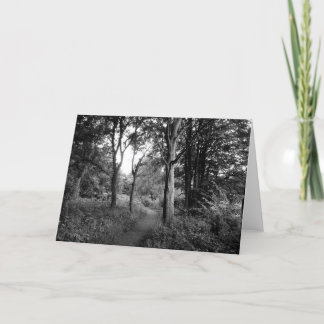 Tarjeta Woods Bute Park, Cardiff Greetings Card