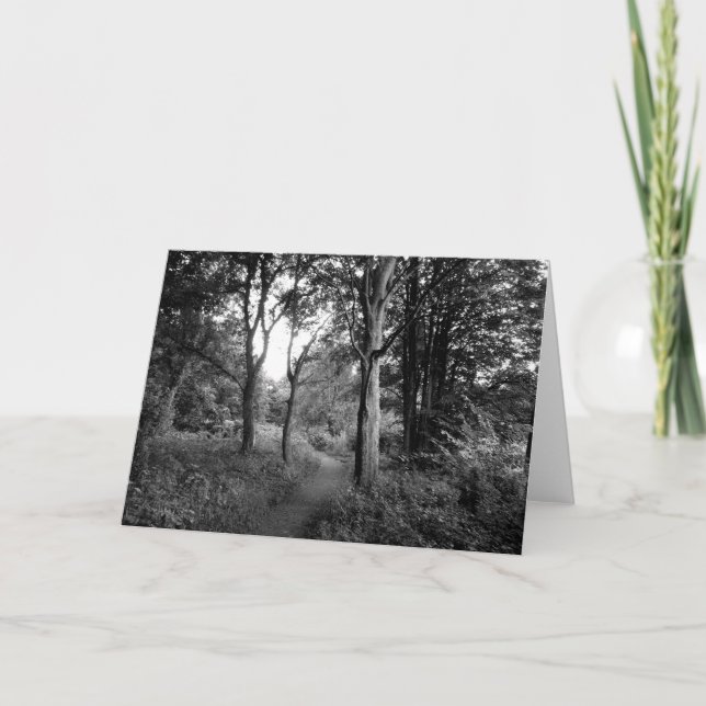 Tarjeta Woods Bute Park, Cardiff Greetings Card (Anverso)
