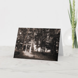 Tarjeta Woods Bute Park, Cardiff II