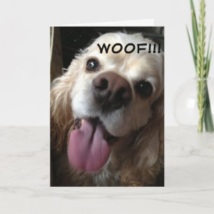 TARJETA WOOF *FELIZ CUMPLEAÑOS* EN IDIOMA DOGY