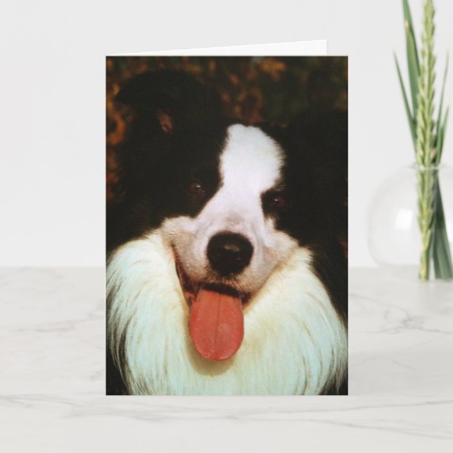 TARJETA WOOF WOOF FELIZ CUMPLEAÑOS HONEY (Anverso)