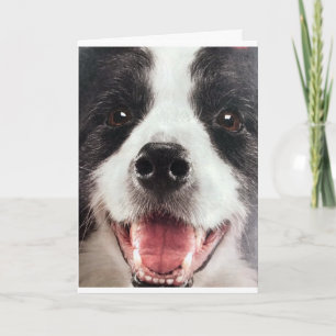 TARJETA WOOF WOOF O EN OTRAS PALABRAS **FELIZ CUMPLEAÑOS**