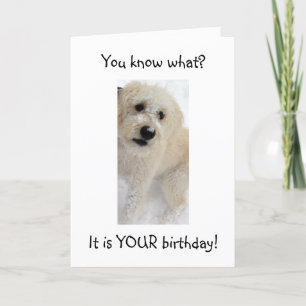 TARJETA WOOF WOOF-YOU SE VE BIEN PARA "40"