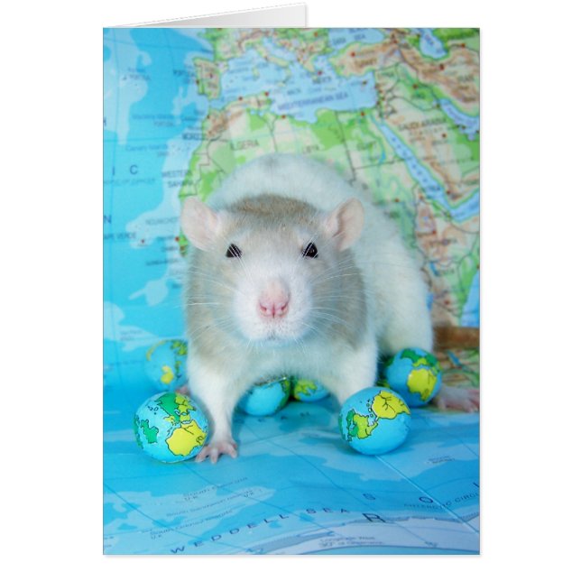 Tarjeta World Rat Day (Frente)