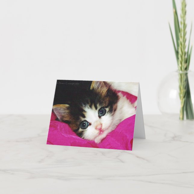 Tarjeta Worlds Cutest Kitten (Anverso)