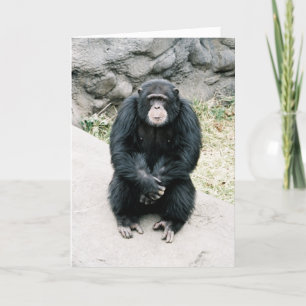Tarjeta worried chimp 787900-R1-13Azz