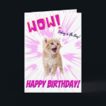 Tarjeta Wow Cute Funny Naranja Kitten Birday Card<br><div class="desc">¡Feliz cumpleaños del gato, graciosas tarjetas de cumpleaños del gato! ¡Pon una sonrisa en la cara de tus seres queridos con esta graciosa tarjeta de cumpleaños de gatitos de personalizable! Los colores rosa vivos, audaces y sencillos, con una imagen de gatito de personalizable, simplemente reemplácelo por su propio gatito adorable...</div>