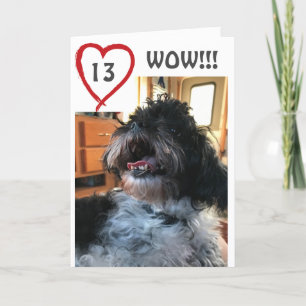 TARJETA **WOW** TIENES UN CUMPLEAÑOS **13º**