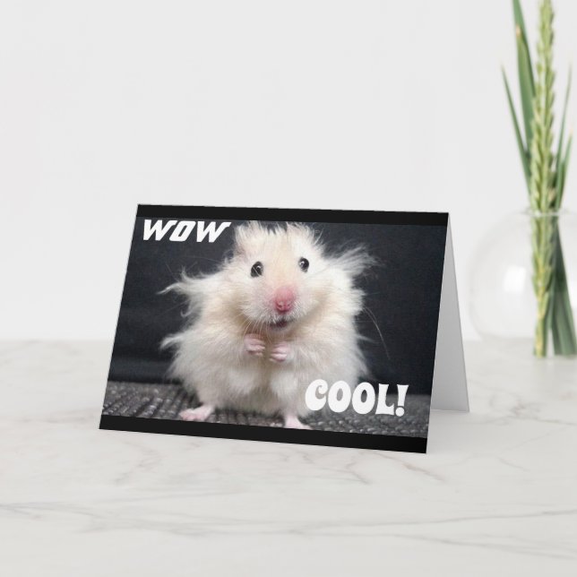 TARJETA WOW YOU ARE **60** DICE GUAY HAMSTER CARD (Anverso)