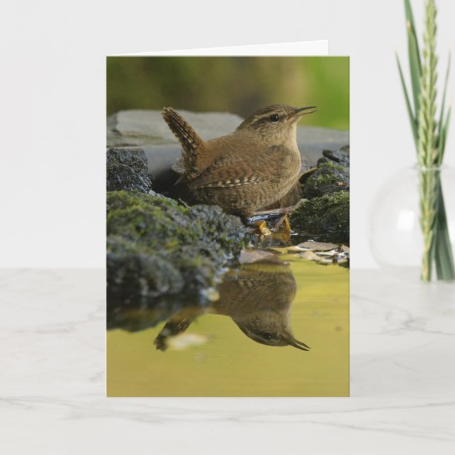 Tarjeta Wren (Anverso)