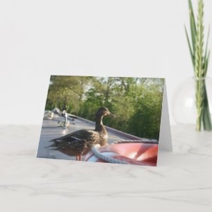 Tarjeta Wrenbury Duck Canal Notecard