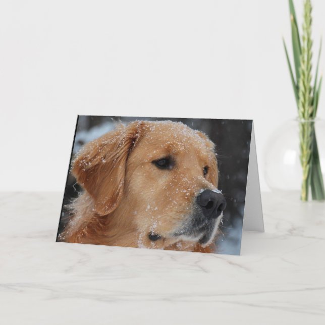 Tarjeta Wyatt Snowy (Anverso)