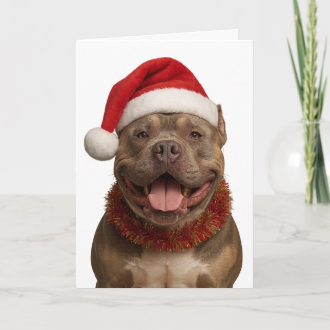 Tarjeta XL Bully in a Santa hat Christmas card (Anverso)