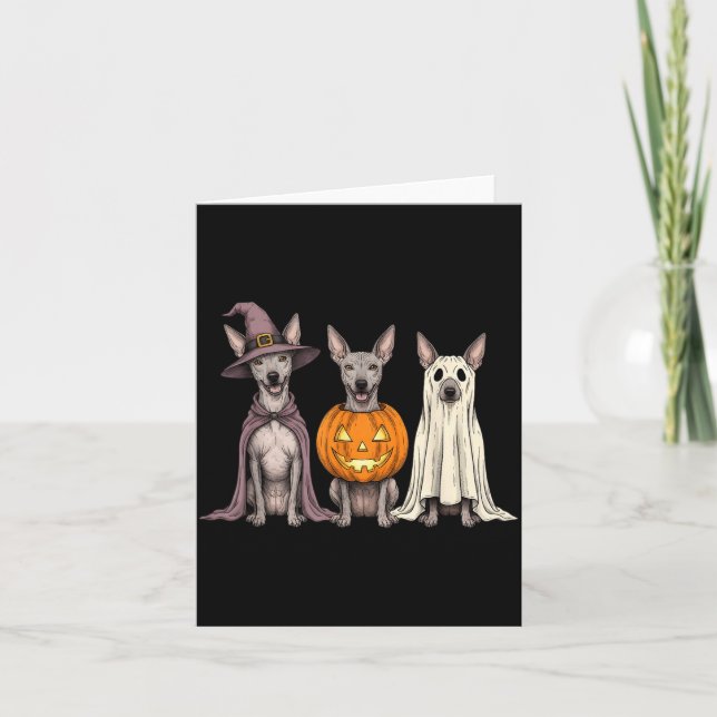 Tarjeta Xoloitzcuintli fantasma espeluznante Calabaza Hall (Anverso)