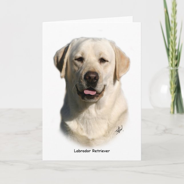Tarjeta Y ellow Labrador Retriever (Anverso)
