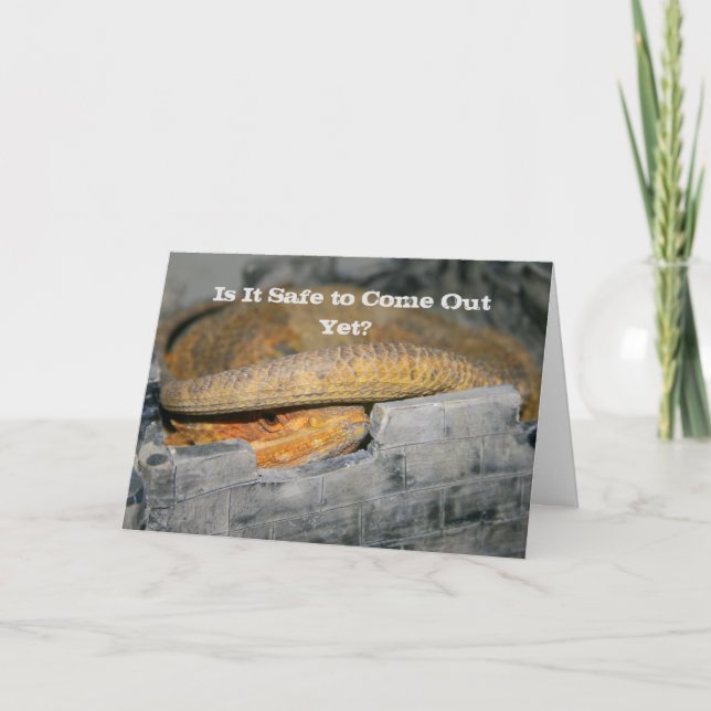 Tarjeta ¿Ya está a salvo? Dragón con las culatas (Anverso)