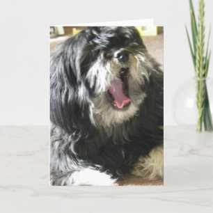 TARJETA YAWNING CUZ ESTOY ABURRIDO CUMPLEAÑOS 40