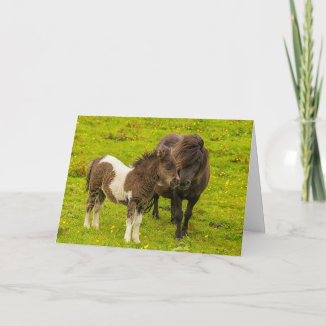 Tarjeta Yegua de poni Shetland y cría (Anverso)