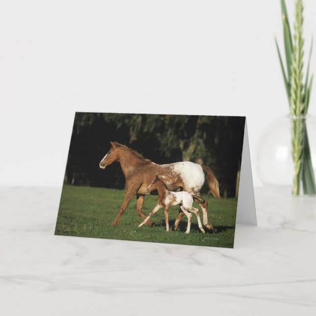 Tarjeta Yegua y potro del Appaloosa (Anverso)