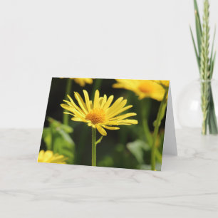 Tarjeta Yellow Daisy