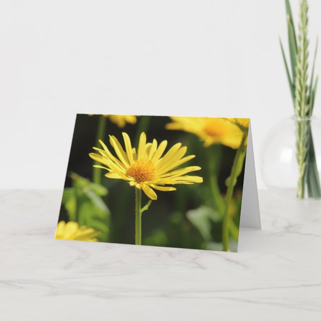 Tarjeta Yellow Daisy (Anverso)