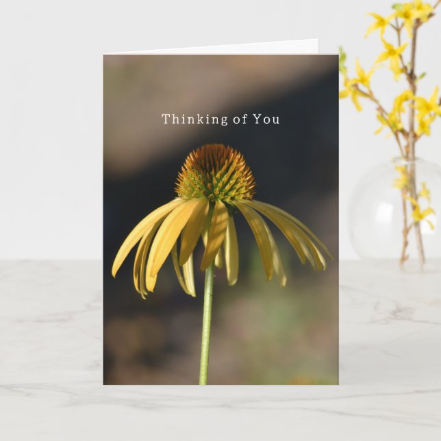 Tarjeta Yellow Echinacea Birthday (photography by me) (flor amarilla)