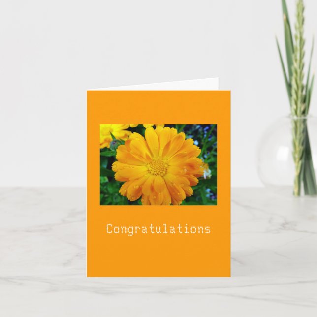 Tarjeta yellow gerbera daisy flower (Anverso)